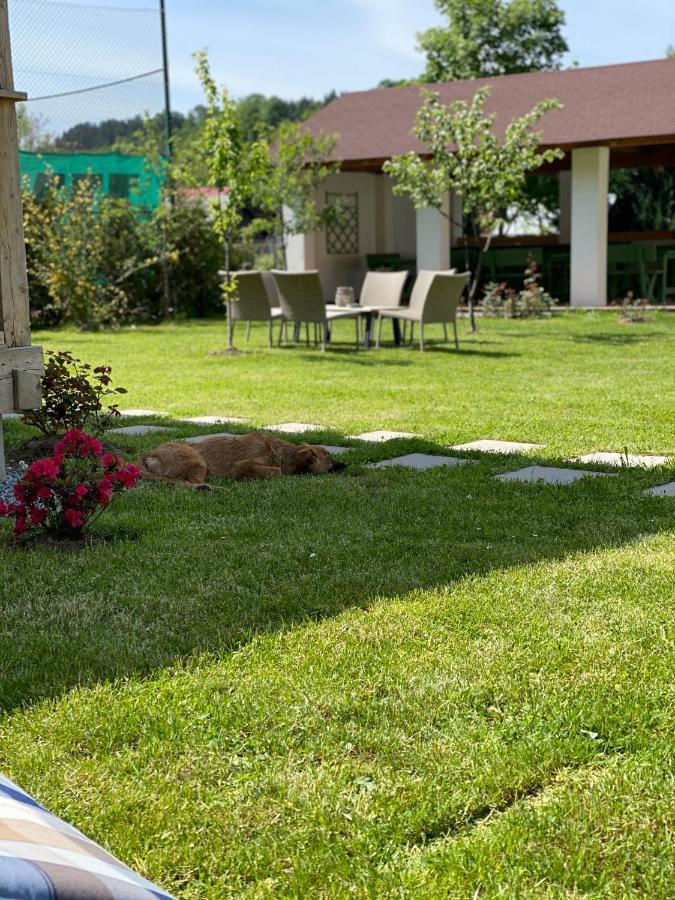 Anahouse Hotel Viseu de Sus Luaran gambar