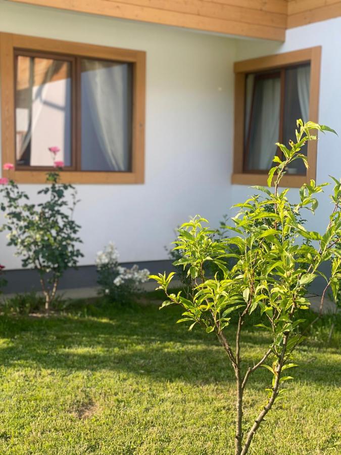 Anahouse Hotel Viseu de Sus Luaran gambar