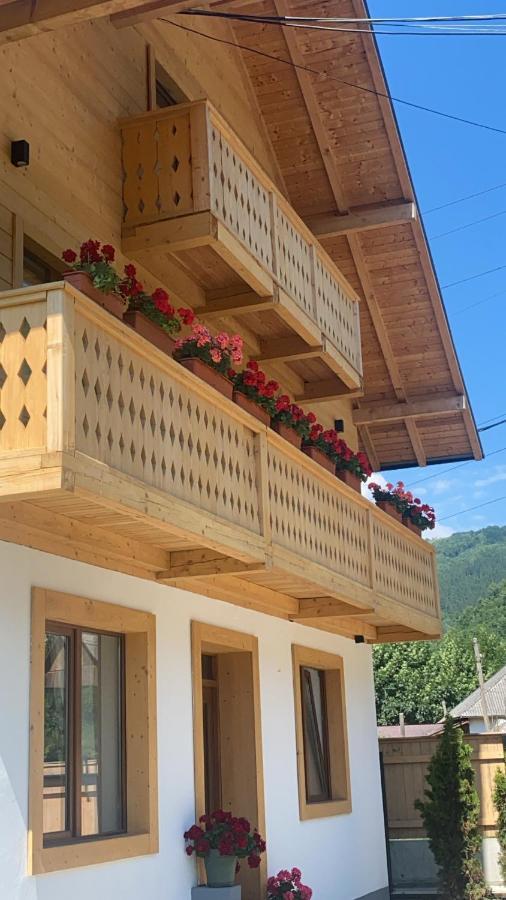 Anahouse Hotel Viseu de Sus Luaran gambar